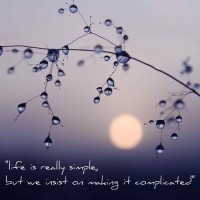 /album/think-positive-info/life-2-jpg/